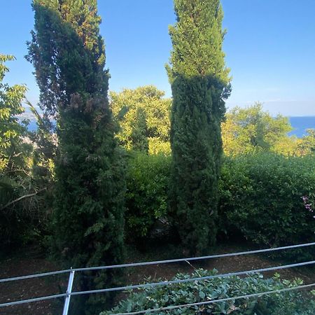 Villa Salyna Ičići Εξωτερικό φωτογραφία