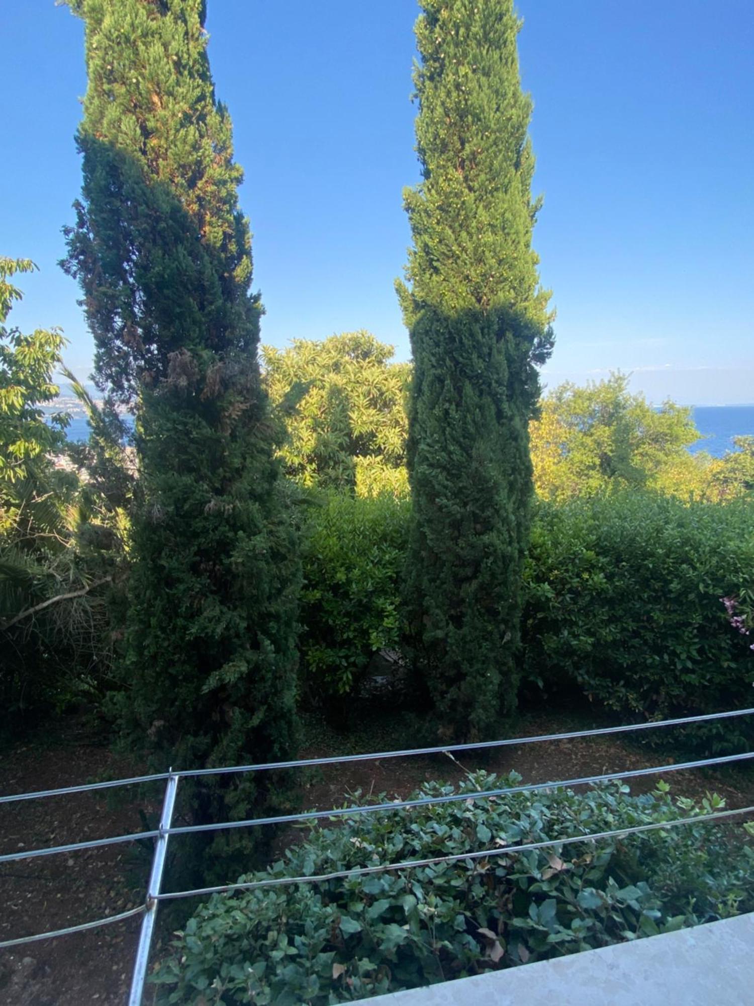 Villa Salyna Ičići Εξωτερικό φωτογραφία