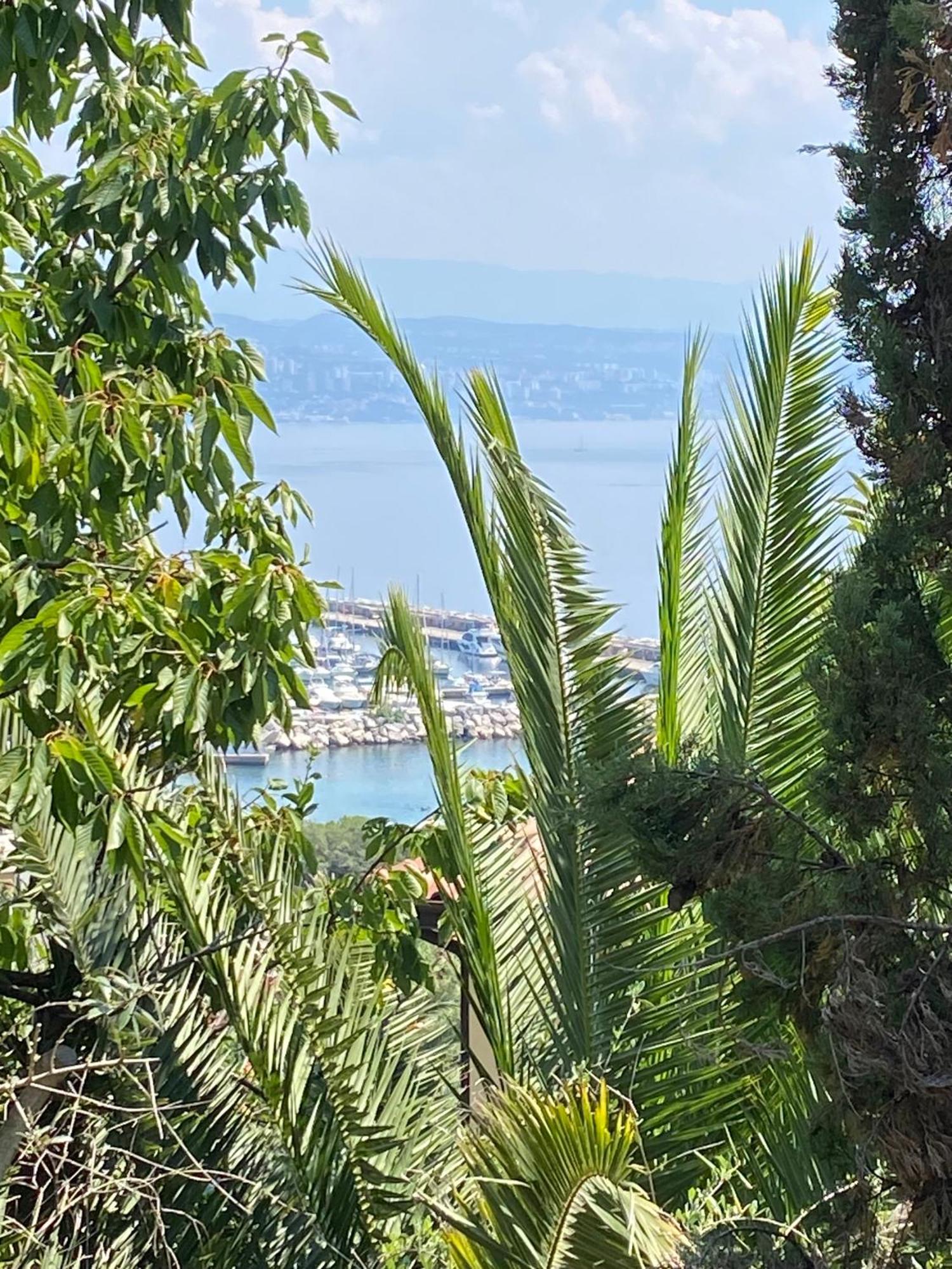Villa Salyna Ičići Εξωτερικό φωτογραφία