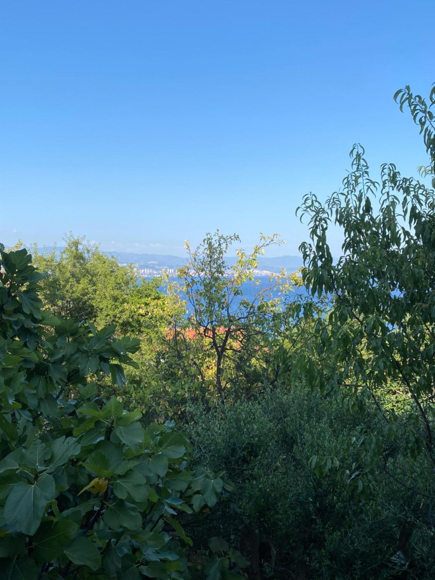 Villa Salyna Ičići Εξωτερικό φωτογραφία