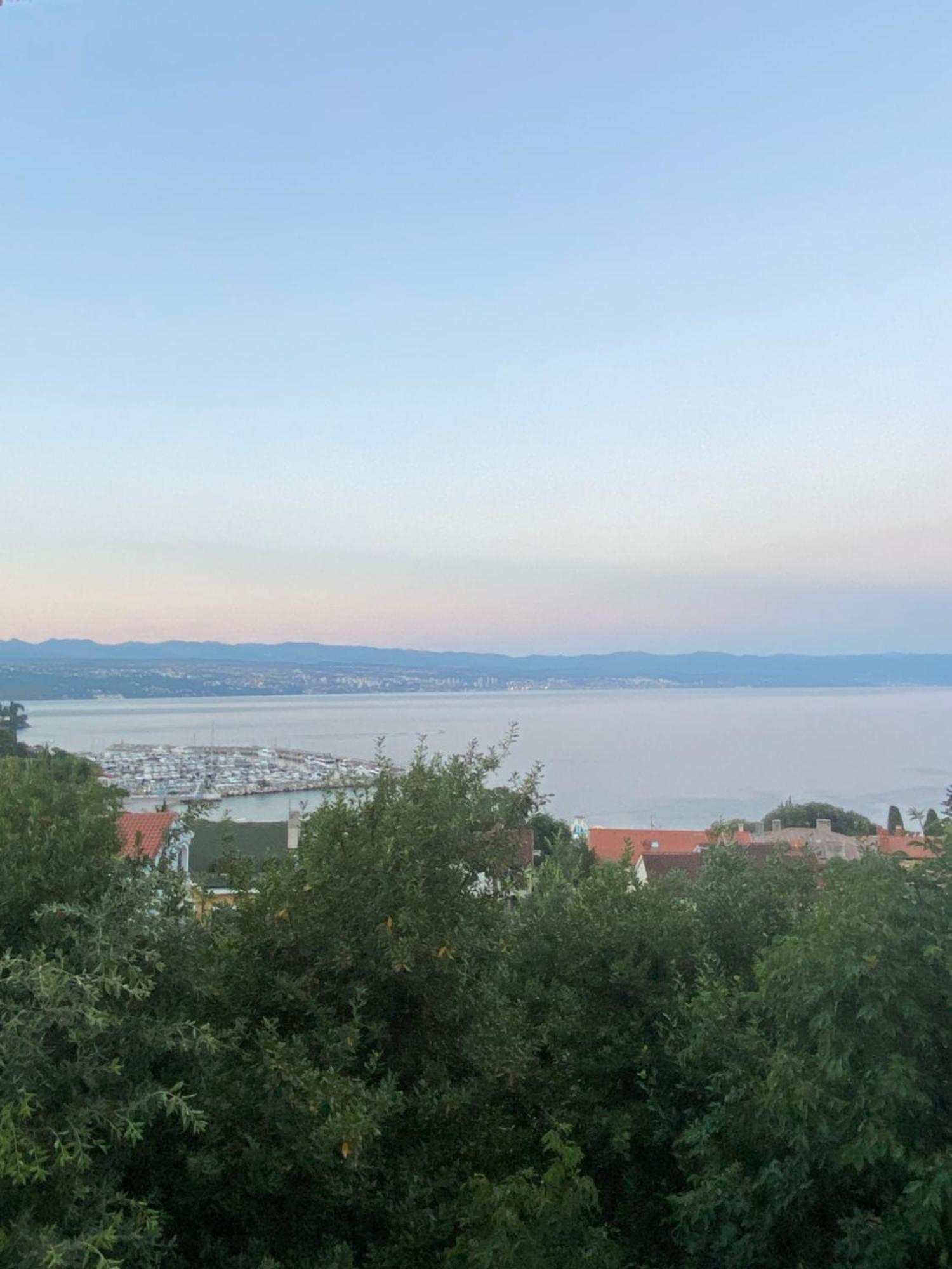 Villa Salyna Ičići Εξωτερικό φωτογραφία