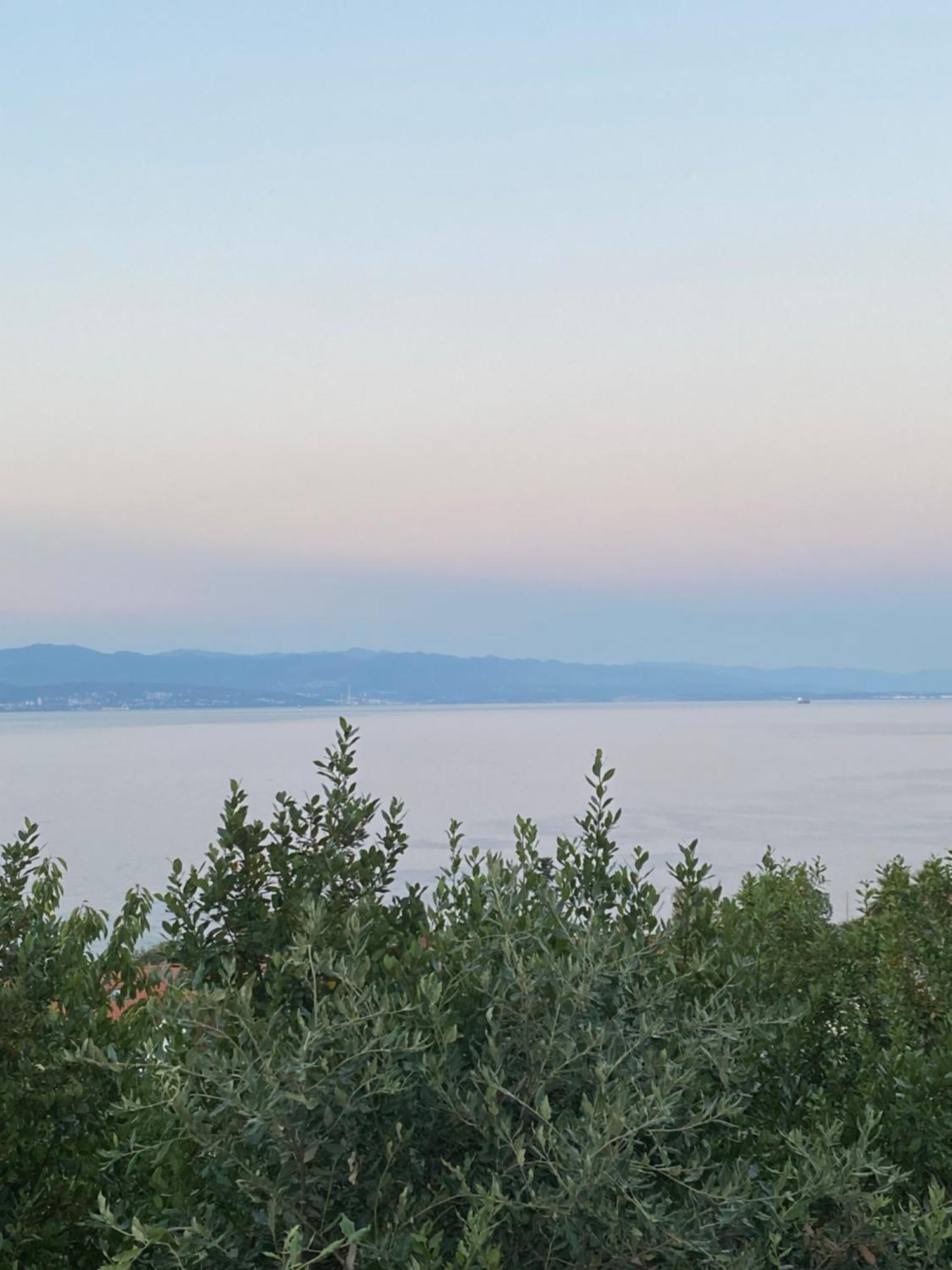 Villa Salyna Ičići Εξωτερικό φωτογραφία